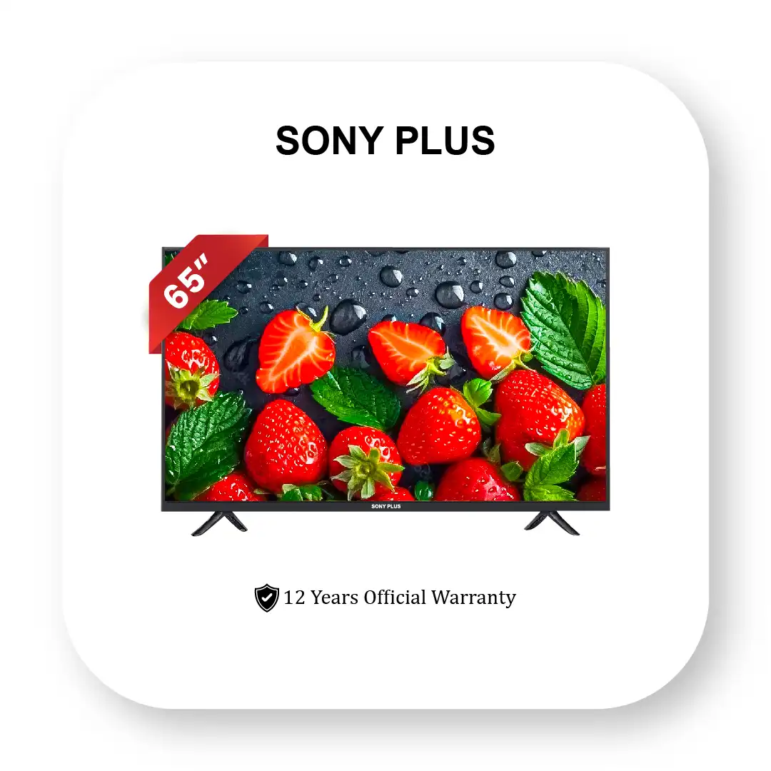65-FL-VC Sony Plus 65 Inch Frameless Voice Control 4K TV